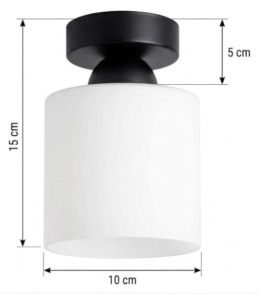 BRILAGI - LED Stropní svítidlo RETRO GLASS 1xE27/60W/230V pr. 10 cm černá/bílá