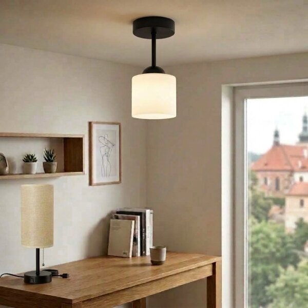 BRILAGI - LED Přisazený lustr RETRO GLASS 1xE27/60W/230V pr. 10 cm černá/bílá