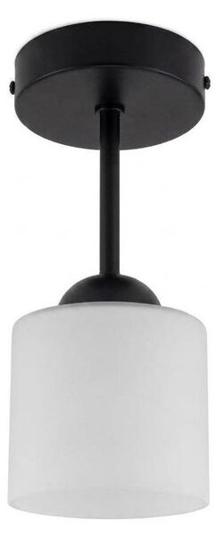 BRILAGI - LED Přisazený lustr RETRO GLASS 1xE27/60W/230V pr. 10 cm černá/bílá