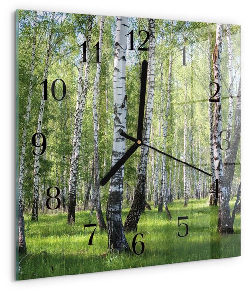Skleněné hodiny na stěnu Březový les zskc-30x30-00172793