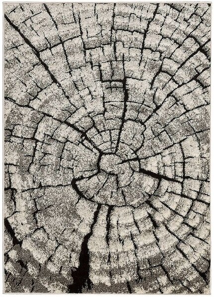 Breno Kusový koberec PHOENIX 6021 - 0244, 80x150 cm, Hnědá/Vícebarevné