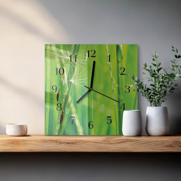 Skleněné hodiny na stěnu Tráva zskc-30x30-00173065