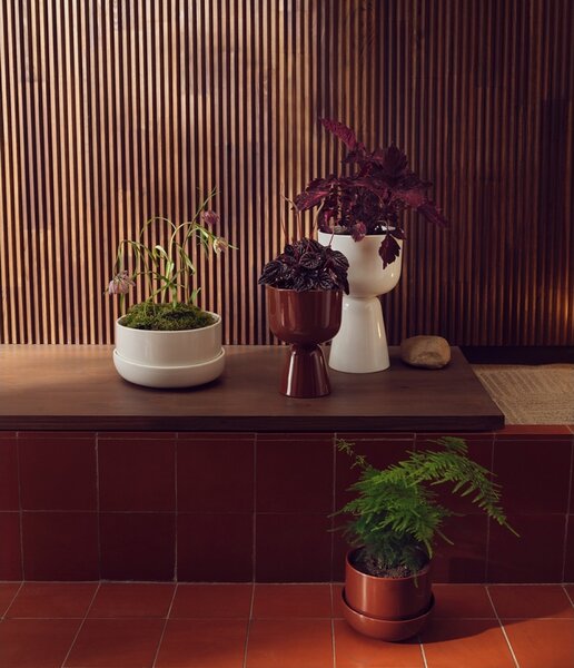 Iittala Květináč Nappula S, hnědý