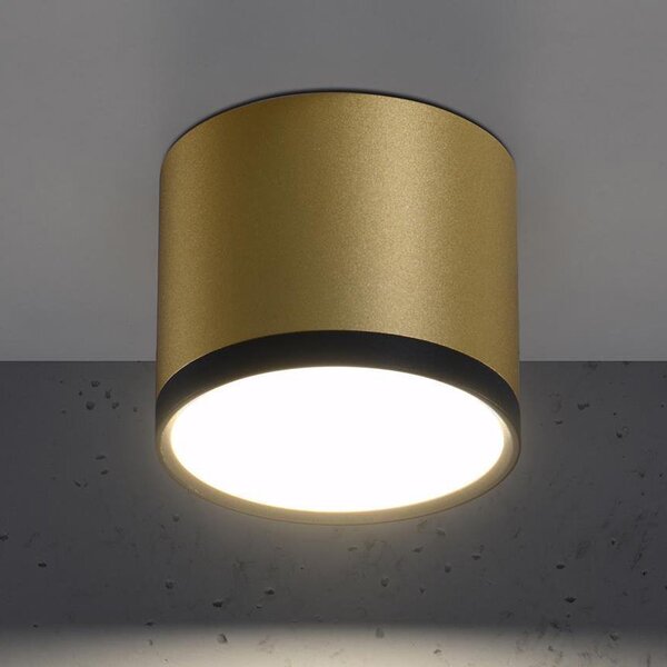 Candellux Tuba stropní světlo 1x9 W černá-zlatá 2275956