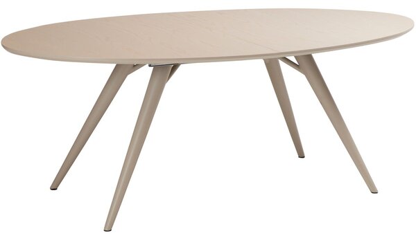 ​​​​​Dan-Form Šedý dubový rozkládací jídelní stůl DAN-FORM Eclipse 200-300 x 110 cm
