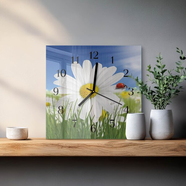 Skleněné hodiny na stěnu Květina a beruška zskc-30x30-00173280