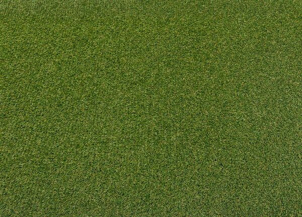 Breno Umělá tráva YARA Grass olive, šíře 200 cm, Zelená