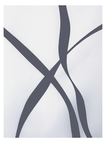 Sprchový závěs 120x200 cm Ribbon – Spirella