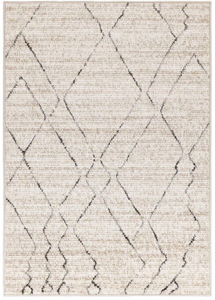 Breno Kusový koberec HARMONIA 4003 - 0744, 60x100 cm, Béžová/Vícebarevné
