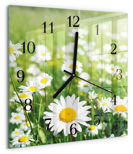 Skleněné hodiny na stěnu Sedmikrásky zskc-30x30-00173612