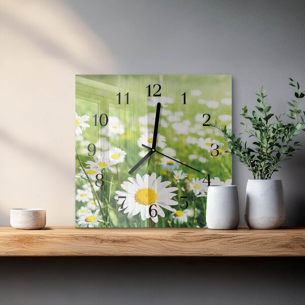 Skleněné hodiny na stěnu Sedmikrásky zskc-30x30-00173612