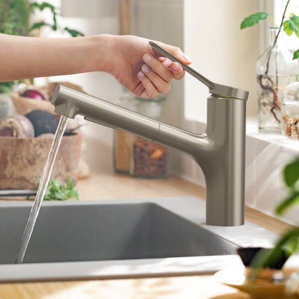 Hansgrohe Zesis M33 kuchyňská baterie stojící ušlechtilá ocel 74800800