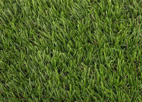 Breno Umělá tráva ALCOYA 6146, šíře 400 cm, Zelená