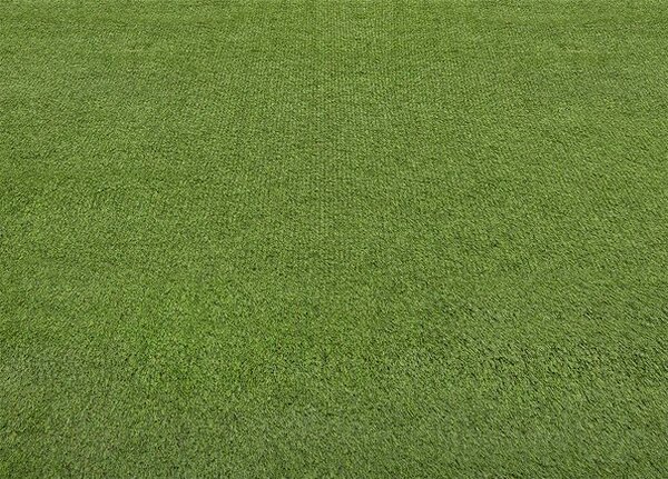Breno Umělá tráva ALCOYA 6146, šíře 400 cm, Zelená