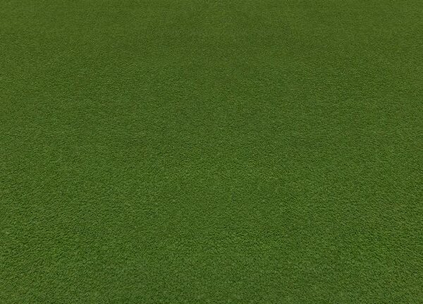 Breno Umělá tráva LORETA, šíře 200 cm, Zelená