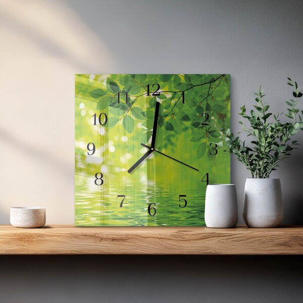 Skleněné hodiny na stěnu Listy zskc-30x30-00173972