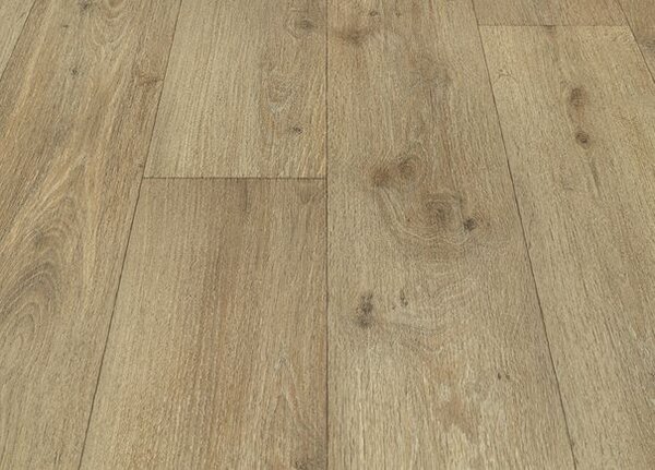 Breno PVC INSPIRE Forest Oak 221M, šíře 100 cm