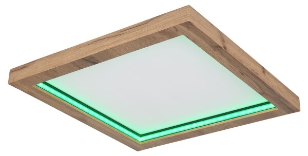 Globo 41374-24 - LED RGBW Stmívatelné stropní svítidlo BRANZA LED/24W/230V + DO