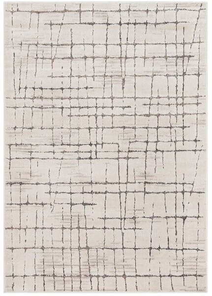 Breno Kusový koberec AMARNA 54013/E7CW, 80x120 cm, Vícebarevné/Béžová