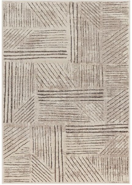 Breno Kusový koberec AMARNA 44002/E7CH, 80x120 cm, Béžová/Vícebarevné