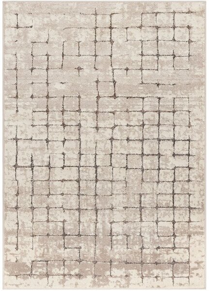 Breno Kusový koberec AMARNA 44003/E7CH, 80x120 cm, Vícebarevné/Béžová