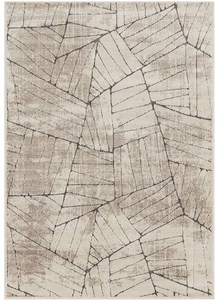 Breno Kusový koberec AMARNA 44004/E7CH, 80x120 cm, Vícebarevné/Béžová