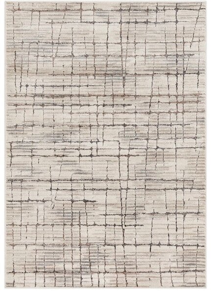 Breno Kusový koberec AMARNA 54013/E7CV, 80x120 cm, Vícebarevné/Béžová