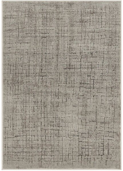 Breno Kusový koberec AMARNA 28006/E7CH, 80x120 cm, Béžová/Vícebarevné