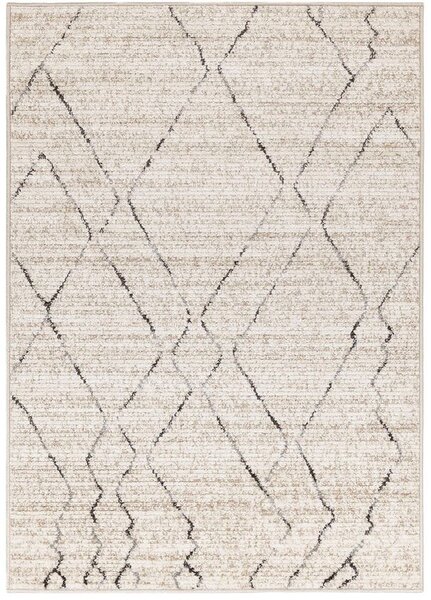 Breno Kusový koberec HARMONIA 4003 - 0744, 60x100 cm, Béžová/Vícebarevné