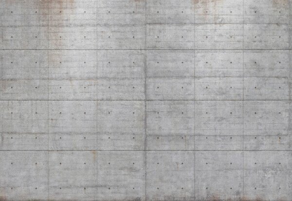 FOTOTAPETA velikost: 368/254 cm - Online Only tapety, Online Only