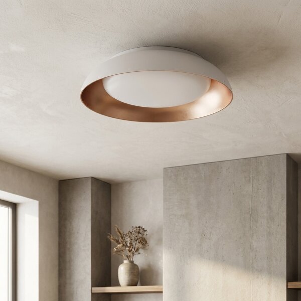 Brilagi -LED Stmívatelné svítidlo ALVA LED/48W/230V 3000-6500K pr. 51 cm bílá+DO