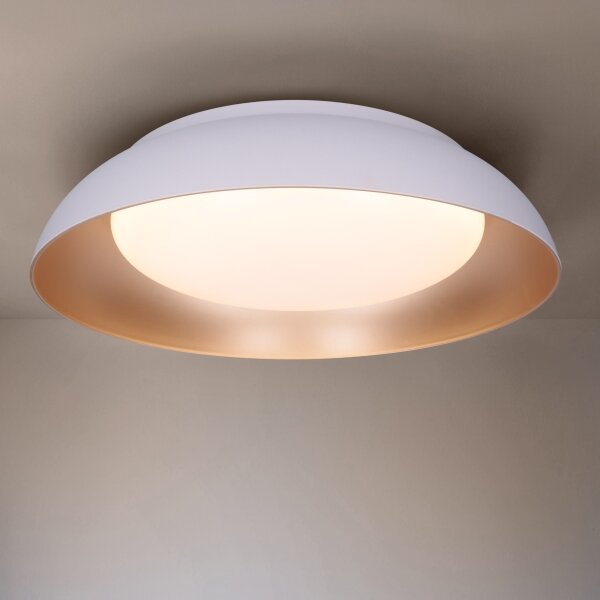 Brilagi -LED Stmívatelné svítidlo ALVA LED/48W/230V 3000-6500K pr. 51 cm bílá+DO