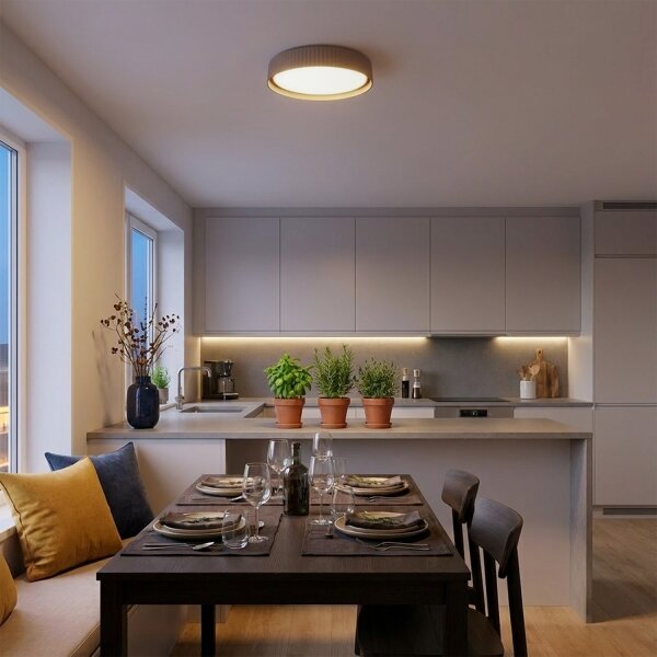 Brilagi - LED Stmívatelné stropní svítidlo LUCIA LED/48W/230V pr. 41 cm taupe+DO