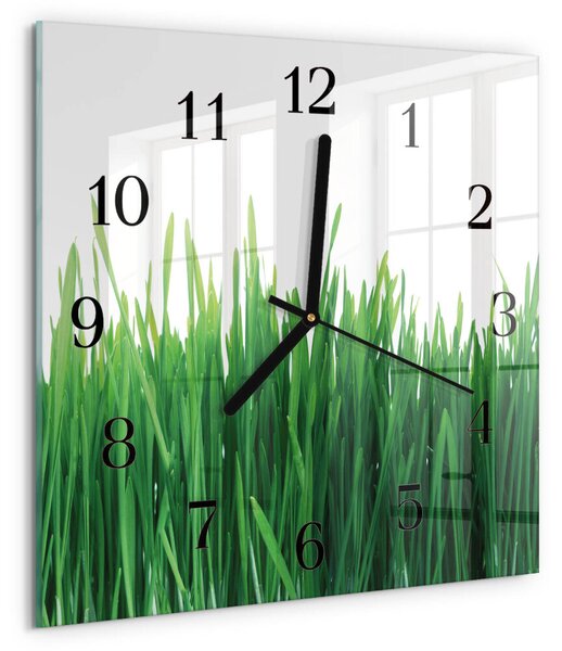 Skleněné hodiny na stěnu Tráva zskc-30x30-00174567