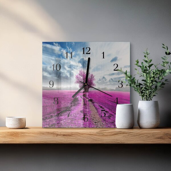Skleněné hodiny na stěnu Pole zskc-30x30-00174993