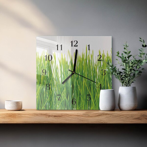 Skleněné hodiny na stěnu Tráva zskc-30x30-00175252