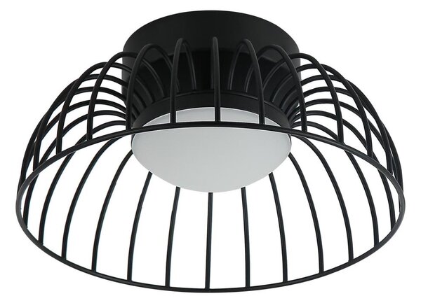 LED Stropní svítidlo BETSY LED/12W/230V pr. 25 cm černá