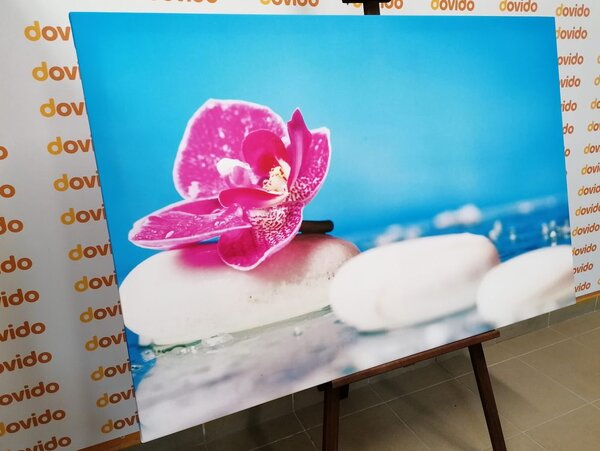 Obraz orchidej a Zen kameny