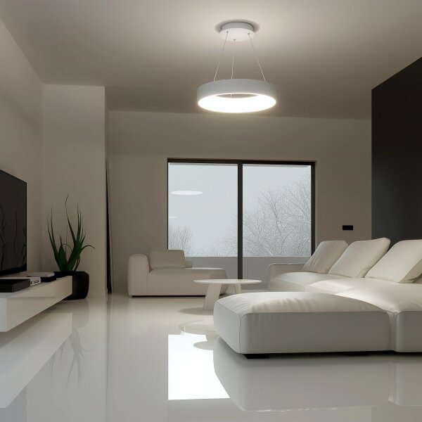 Brilagi - LED Stmívatelný lustr na lanku LED/40W/230V 3000-6500K bílá + DO