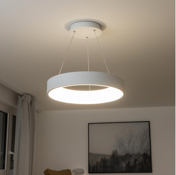 Brilagi - LED Stmívatelný lustr na lanku LED/40W/230V 3000-6500K bílá + DO