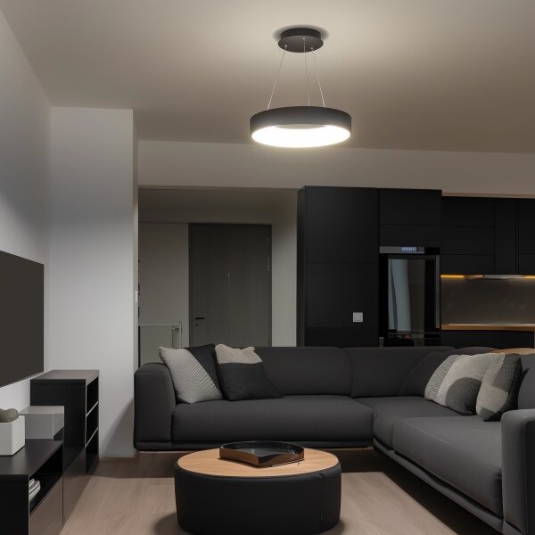 Brilagi - LED Stmívatelný lustr na lanku LED/40W/230V 3000-6500K černá + DO