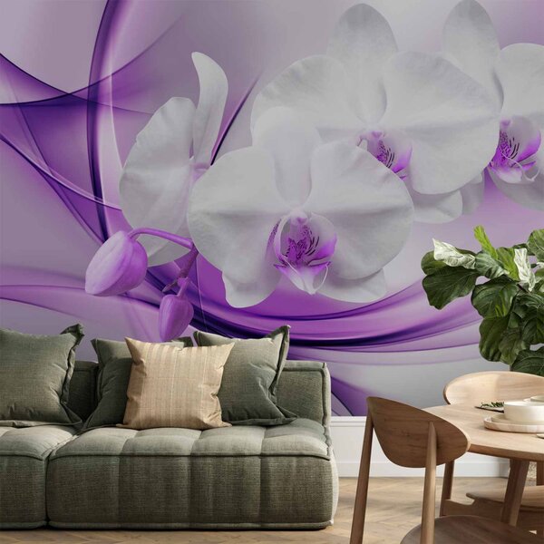 Fototapeta Květy přírody - bílý květ orchideje na pozadí fialového motivu