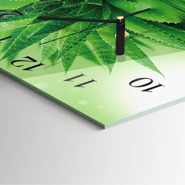 Skleněné hodiny na stěnu Aloe zskc-30x30-00175455