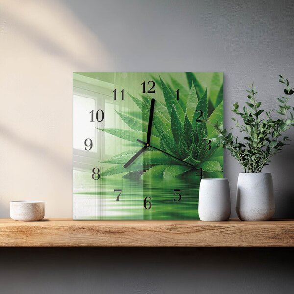Skleněné hodiny na stěnu Aloe zskc-30x30-00175455