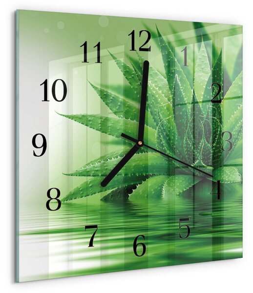 Skleněné hodiny na stěnu Aloe zskc-30x30-00175455