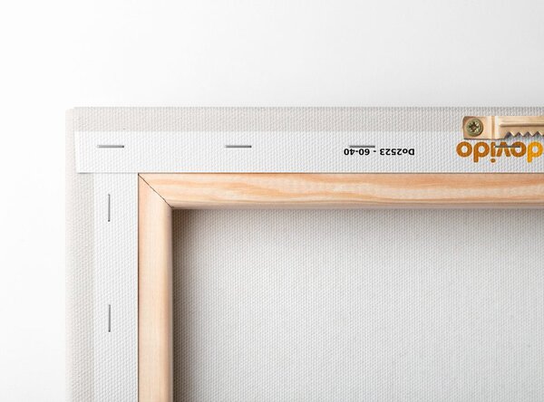 Obraz minimalistické rostlinky v boho stylu