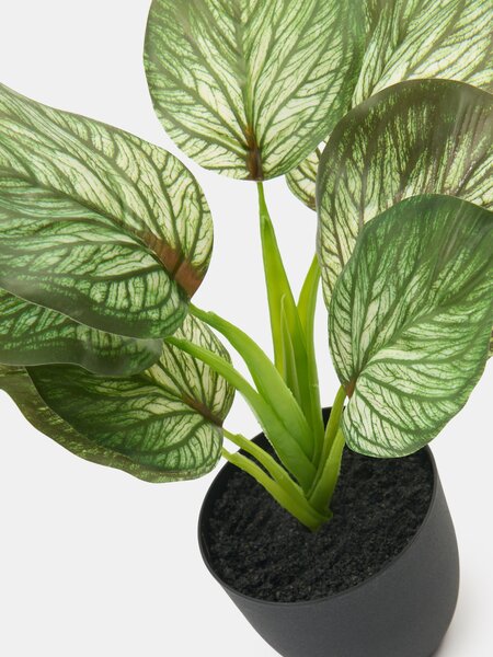 Sinsay - Umělá ozdobná rostlina Alocasia v květináči - zelená