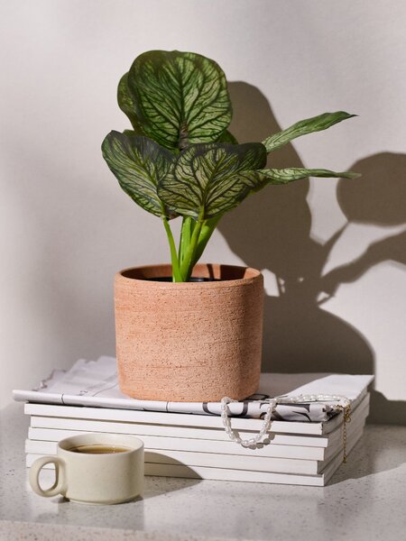 Sinsay - Umělá ozdobná rostlina Alocasia v květináči - zelená