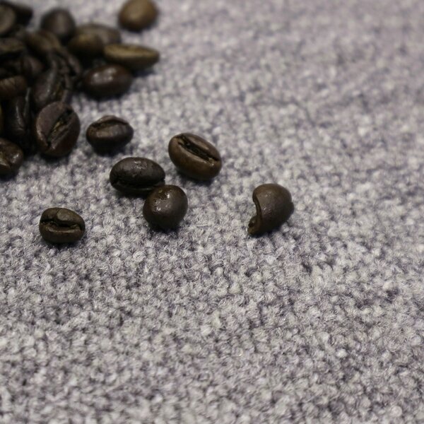 Condor Carpets, Metrážový koberec Classica 57, zátěžový, na míru, šíře 4m,5m, šedá, ab (mřížka), chodba / předsíň