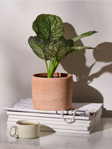 Sinsay - Umělá ozdobná rostlina Alocasia v květináči - zelená